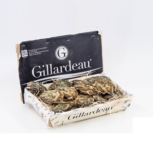 Oesters Speciales de Gillardeau Nr 3-24